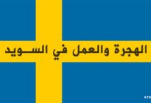 الهجرة العمل في السويد المهن المطلوبة