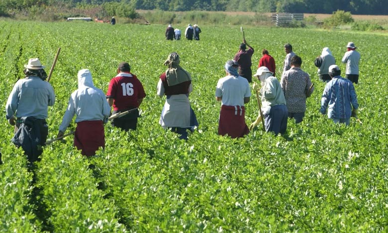ارتفاع عدد المهاجرين كندا